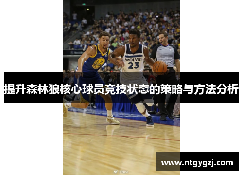 提升森林狼核心球员竞技状态的策略与方法分析