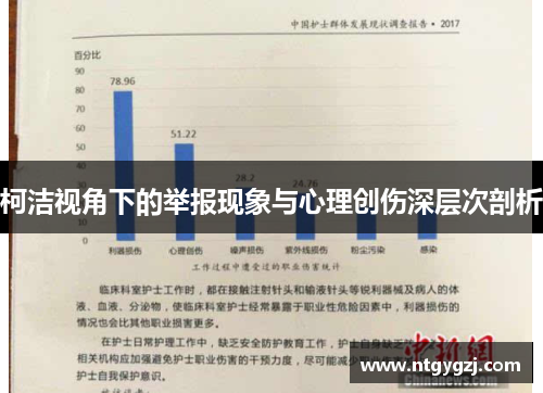 柯洁视角下的举报现象与心理创伤深层次剖析