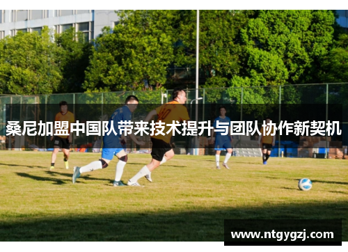 桑尼加盟中国队带来技术提升与团队协作新契机