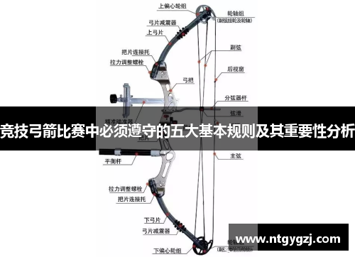 竞技弓箭比赛中必须遵守的五大基本规则及其重要性分析