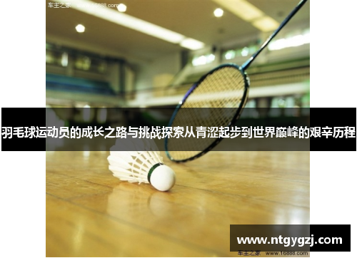 羽毛球运动员的成长之路与挑战探索从青涩起步到世界巅峰的艰辛历程
