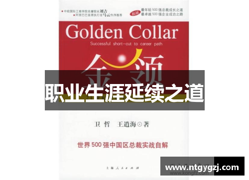 职业生涯延续之道