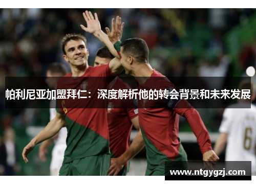 帕利尼亚加盟拜仁：深度解析他的转会背景和未来发展